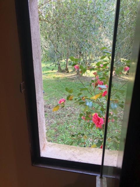 Agriturismo La Pieve Колле-ді-Валь-д'Ельса Екстер'єр фото