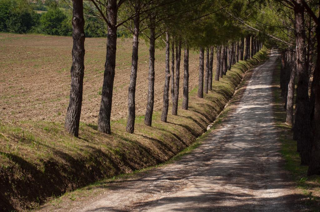 Agriturismo La Pieve Колле-ді-Валь-д'Ельса Екстер'єр фото