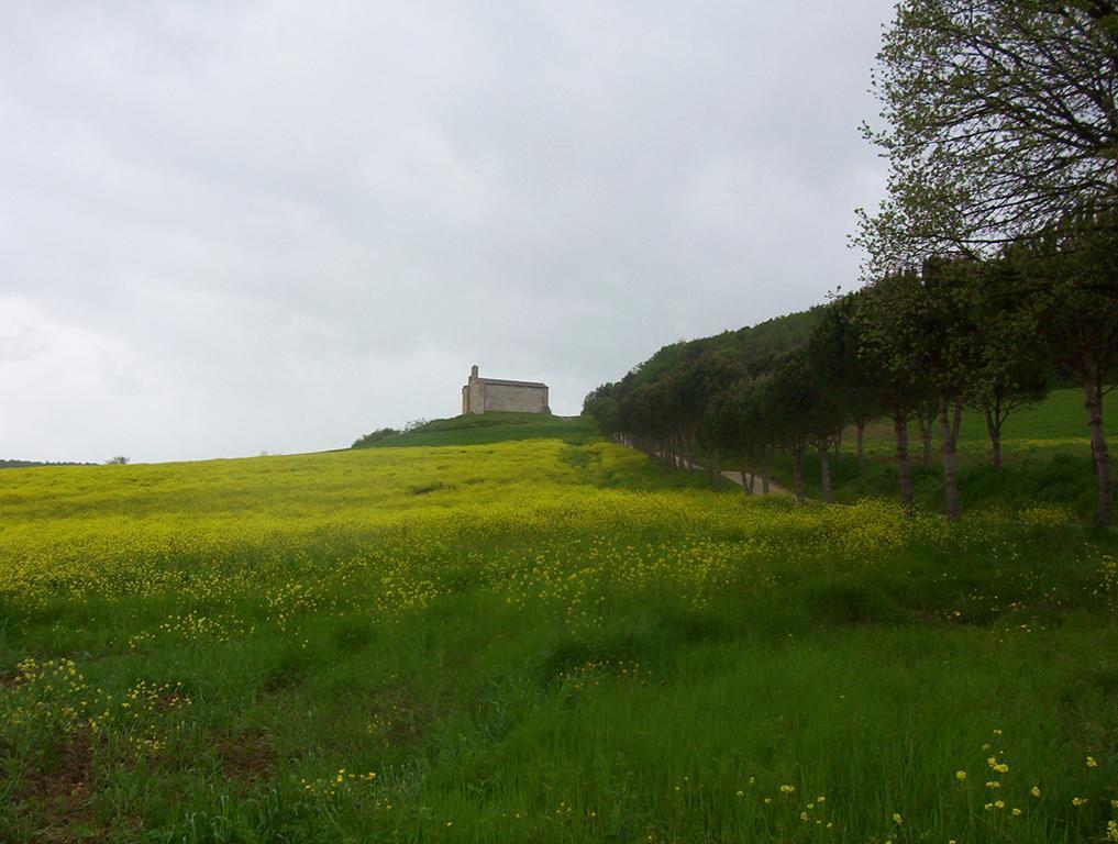 Agriturismo La Pieve Колле-ді-Валь-д'Ельса Екстер'єр фото