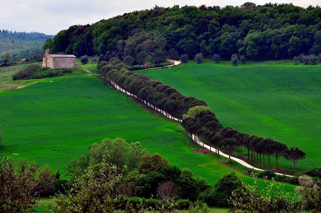 Agriturismo La Pieve Колле-ді-Валь-д'Ельса Екстер'єр фото