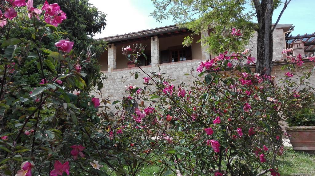 Agriturismo La Pieve Колле-ді-Валь-д'Ельса Екстер'єр фото
