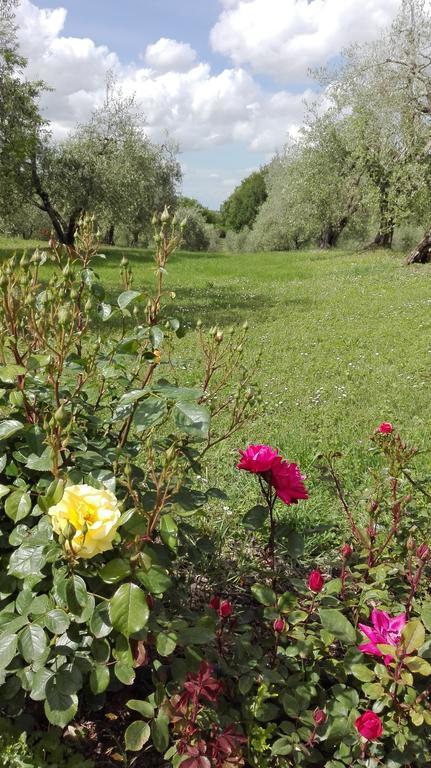 Agriturismo La Pieve Колле-ді-Валь-д'Ельса Екстер'єр фото