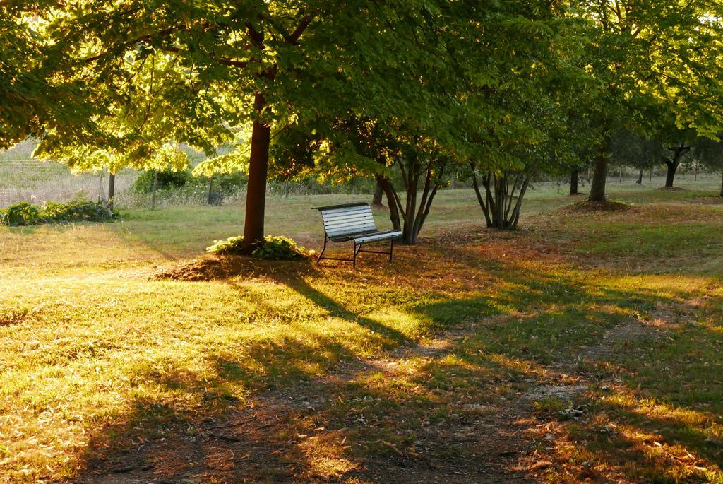 Agriturismo La Pieve Колле-ді-Валь-д'Ельса Екстер'єр фото