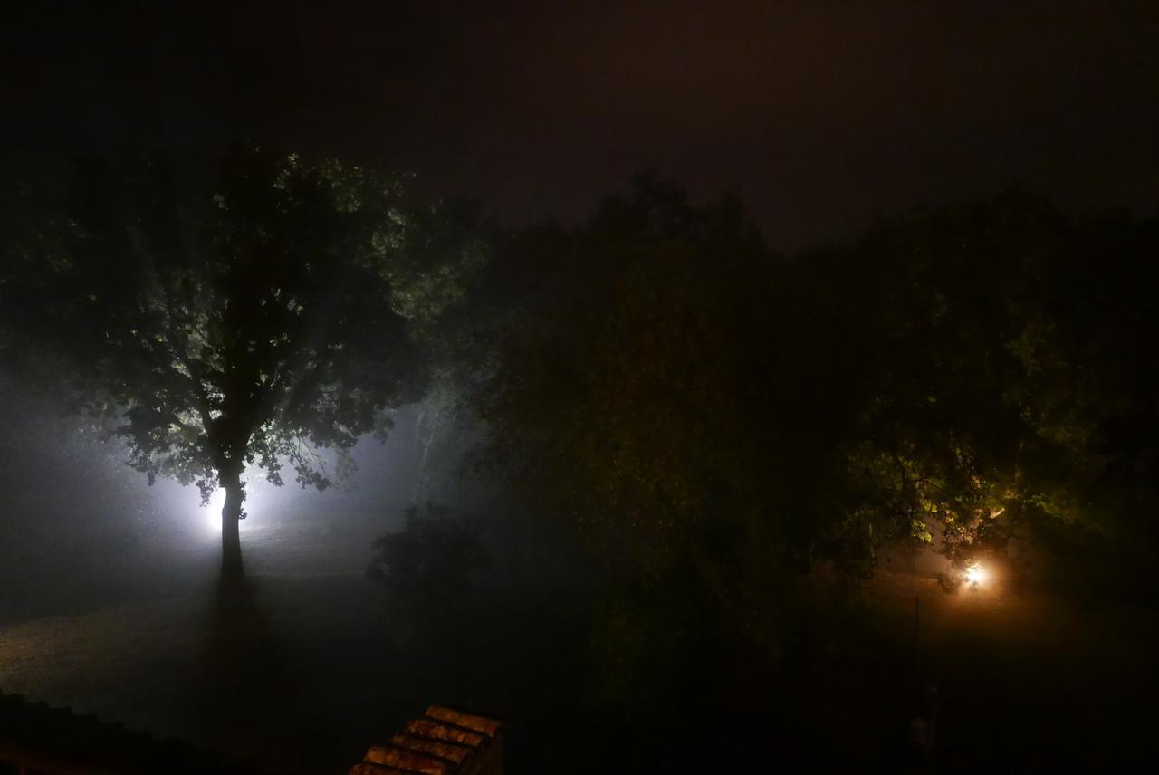 Agriturismo La Pieve Колле-ді-Валь-д'Ельса Екстер'єр фото